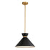 Vaxcel Racine 15 in 1 Light Pendant in Matte Black and Natural Brass Model: P0398