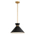 Vaxcel Racine 15 in 1 Light Pendant in Matte Black and Natural Brass Model: P0398
