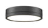 Z-Lite Algar 1 Light Flush Mount in Brushed Nickel Finish Model: 1006F12-BN-LED