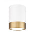 Z-Lite Algar 1 Light Flush Mount in Brushed Nickel Finish Model: 1006F6-BN-LED