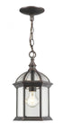 Z-Lite Annex 1 Light Outdoor Chain Mount Ceiling Fixture in Black Finish Model: 563CHM-BK