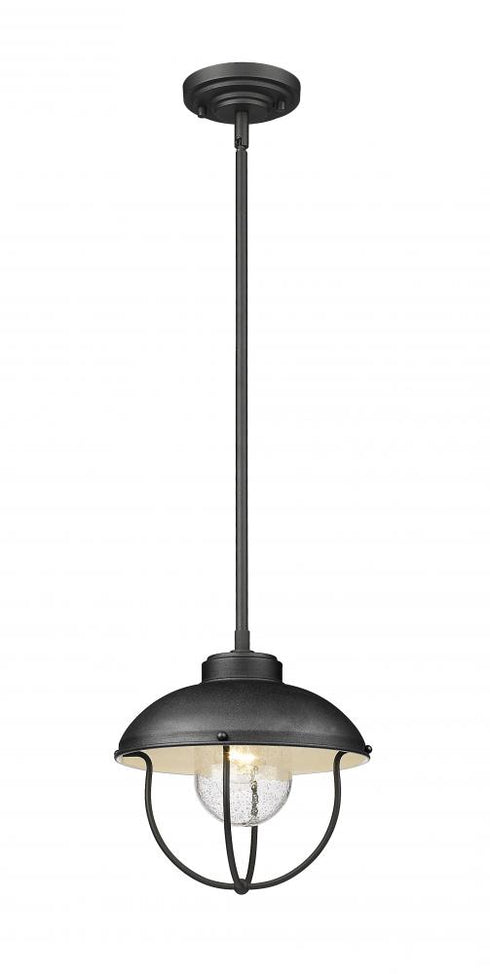 Z-Lite Ansel 1 Light Outdoor Pendant in Black Finish Model: 590P-BK