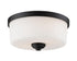 Z-Lite Arlington 2 Light Flush Mount in Bronze Finish Model: 220F2