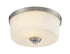 Z-Lite Arlington 2 Light Flush Mount in Bronze Finish Model: 220F2