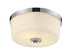 Z-Lite Arlington 2 Light Flush Mount in Bronze Finish Model: 220F2