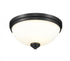 Z-Lite Ashton 3 Light Flush Mount in Brushed Nickel Finish Model: 443F3-BN
