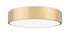 Z-Lite Coronado 1 Light Flush Mount in Brushed Nickel Finish Model: 1017F20-BN-LED