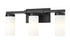 Z-Lite Danica 3 Light Vanity in Brushed Nickel Finish Model: 3044-3V-BN
