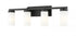 Z-Lite Danica 4 Light Vanity in Brushed Nickel Finish Model: 3044-4V-BN
