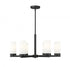 Z-Lite Danica 6 Light Chandelier in Matte Black Finish Model: 3044-6MB