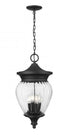 Z-Lite Davina 4 Light Outdoor Chain Mount Ceiling Fixture in Black Finish Model: 5016CHB-BK