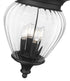 Z-Lite Davina 4 Light Outdoor Chain Mount Ceiling Fixture in Black Finish Model: 5016CHB-BK