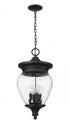 Z-Lite Davina 4 Light Outdoor Chain Mount Ceiling Fixture in Black Finish Model: 5016CHB-BK