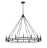 Z-Lite Dennison 16 Light Chandelier in Matte Black Finish Model: 4005-16MB