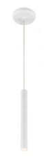 Z-Lite Forest 1 Light Pendant in Brushed Nickel Finish Model: 917MP12-BN-LED