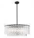 Z-Lite Glacier 12 Light Pendant in Matte Black Finish Model: 1943P32-2-MB