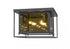 Z-Lite Infinity 4 Light Flush Mount in Misty Charcoal Finish Model: 802F16-MC