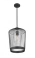 Z-Lite Lido 1 Light Pendant in Matte Black Finish Model: 342P13-MB