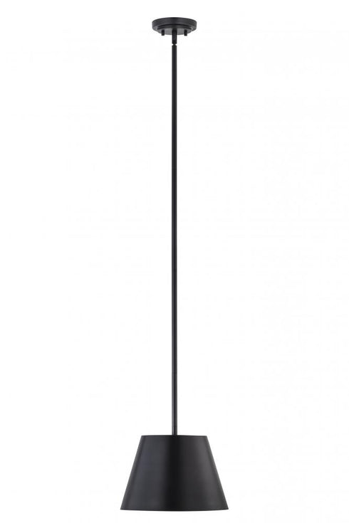 Z-Lite Lilly 1 Light Pendant in Brushed Nickel Finish Model: 2307-12BN