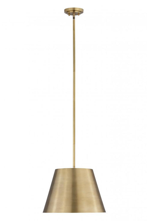 Z-Lite Lilly 1 Light Pendant in Brushed Nickel Finish Model: 2307-18BN