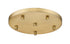 Z-Lite Multi Point Canopy 5 Light Ceiling Plate in Brushed Nickel Finish Model: CP1205R-BN