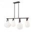 Z-Lite Newbury 4 Light Pendant in Matte Black Finish Model: 7513-4L-MB
