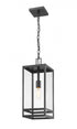 Z-Lite Nuri 1 Light Outdoor Chain Mount Ceiling Fixture in Black Finish Model: 596CHB-BK