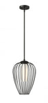 Z-Lite Savanti 1 Light Pendant in Matte Black Finish Model: 7507-12MB