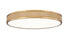 Z-Lite Stari 1 Light Flush Mount in Brushed Nickel Finish Model: 1013F20-BN-LED
