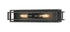 Z-Lite Titania 2 Light Vanity in Black + Brushed Nickel Finish Model: 454-2V-BK-BN