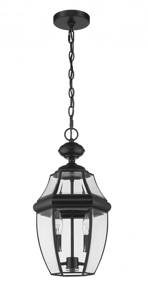 Z-Lite Westover 2 Light Outdoor Chain Mount Ceiling Fixture in Black Finish Model: 580CHM-BK