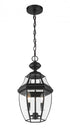 Z-Lite Westover 2 Light Outdoor Chain Mount Ceiling Fixture in Black Finish Model: 580CHM-BK