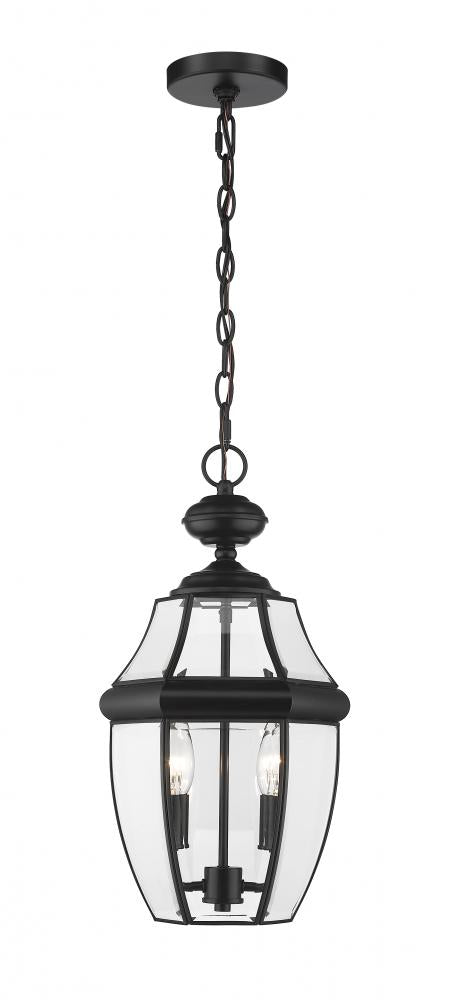 Z-Lite Westover 2 Light Outdoor Chain Mount Ceiling Fixture in Black Finish Model: 580CHM-BK