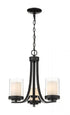 Z-Lite Willow 3 Light Chandelier in Brushed Nickel Finish Model: 426-3C-BN