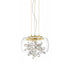 ZEEV Lighting DESTINY 12 Light LED 20 Inch Clear Glass Dome Shade Chandelier in Aged Brass Finish Model: CD10243-LED-AGB