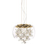 Zeev Lighting DESTINY 8 Light LED 16 Inch Clear Glass Dome Shade Pendant Light in Aged Brass Finish Model: P30110-LED-AGB