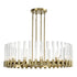 ZEEV Lighting JULIAN 12 Light 40 Inch Oval in Aged Brass Linear Glass Chandelier Model: CD10355-12-AGB