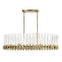 ZEEV Lighting JULIAN 12 Light 40 Inch Oval in Aged Brass Linear Glass Chandelier Model: CD10355-12-AGB