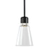 ZEEV Lighting ZIGRINA 10 Inch LED 3CCT Clear Dome Glass Pendant Light and in Satin Brushed Black with Nickel Metal Finish Model: P11704-LED-SBB-K-PN-G12
