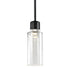 ZEEV Lighting ZIGRINA 10 Inch LED 3CCT Clear Dome Glass Pendant Light and in Satin Brushed Black with Nickel Metal Finish Model: P11704-LED-SBB-K-PN-G12