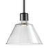 ZEEV Lighting ZIGRINA 10 Inch LED 3CCT Clear Dome Glass Pendant Light and in Satin Brushed Black with Nickel Metal Finish Model: P11704-LED-SBB-K-PN-G12