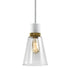 ZEEV Lighting ZIGRINA 3 Inch E26 Cylindrical Pendant Light 12 Inch Clear Glass and in Matte White with Brass Finish Model: P11706-E26-MW-K-AGB-G1
