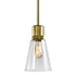 ZEEV Lighting ZIGRINA 8 Inch E26 Clear Globe Glass Pendant Light and in Aged Brass Metal Finish Model: P11705-E26-AGB-G11