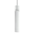 ZEEV Lighting ZIGRINA 8 Inch E26 Clear Globe Glass Pendant Light and in Matte White Metal Finish Model: P11706-E26-MW-G11