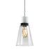 ZEEV Lighting ZIGRINA 8 Inch E26 Clear Globe Glass Pendant Light and in Matte White with Black Metal Finish Model: P11706-E26-MW-K-SBB-G11
