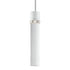 ZEEV Lighting ZIGRINA 8 Inch E26 Clear Globe Glass Pendant Light and in Matte White with Nickel Metal Finish Model: P11706-E26-MW-K-PN-G11