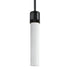 ZEEV Lighting ZIGRINA 8 Inch E26 Clear Globe Glass Pendant Light and in Satin Brushed Black Metal Finish Model: P11708-E26-SBB-G11