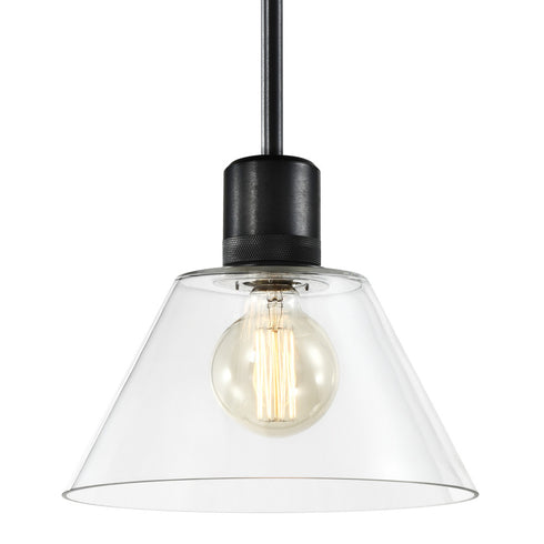 ZEEV Lighting ZIGRINA 8 Inch E26 Clear Globe Glass Pendant Light and in Satin Brushed Black Metal Finish Model: P11708-E26-SBB-G11