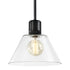 ZEEV Lighting ZIGRINA 8 Inch E26 Clear Globe Glass Pendant Light and in Satin Brushed Black Metal Finish Model: P11708-E26-SBB-G11