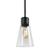 ZEEV Lighting ZIGRINA 8 Inch E26 Clear Globe Glass Pendant Light and in Satin Brushed Black Metal Finish Model: P11708-E26-SBB-G11
